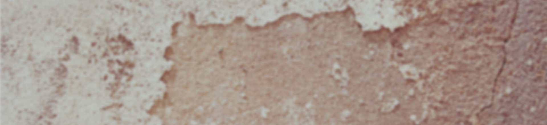 手机号自动轰炸